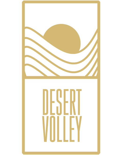 DesertVolleyLogo - Oro - Trasparente